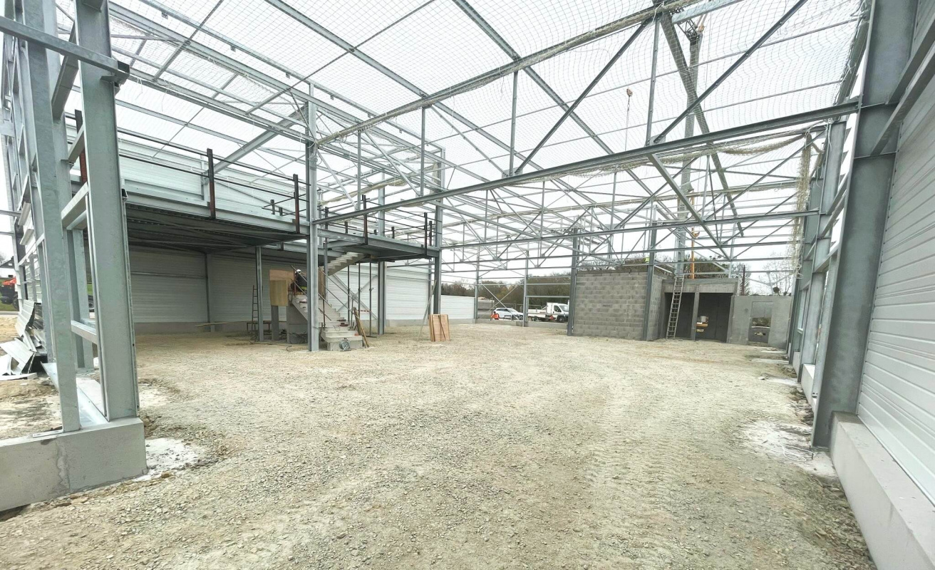 WhatsApp Image 2025-03-20 a? 16.14.08_f52619e2